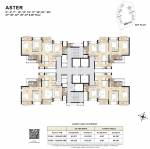 Aster Cluster Plan golden-willows Aster Cluster Plan