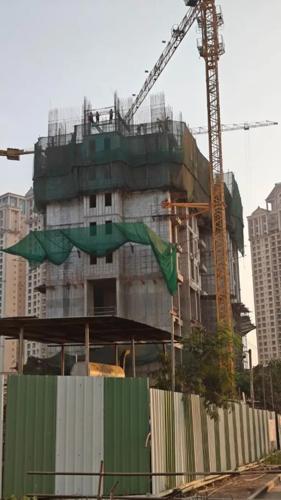  golden-willows Orchid Construction Status Feb-25