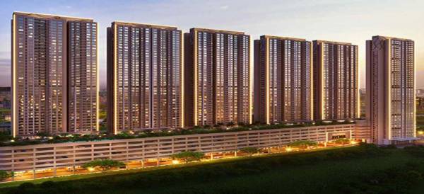 Elevation bliss-wing-h Elevation