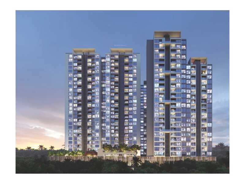  amara phase ii Elevation