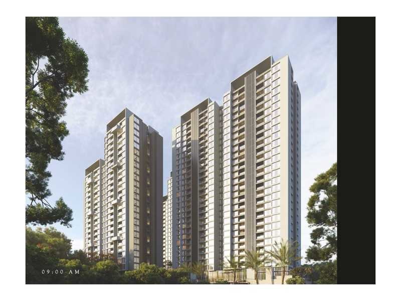  amara phase ii Elevation