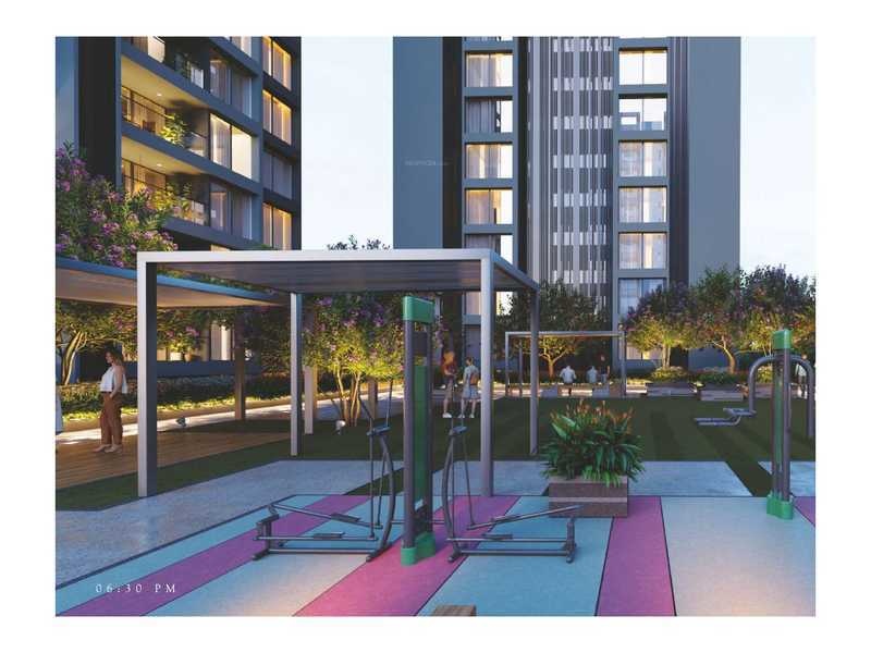  amara phase ii Others