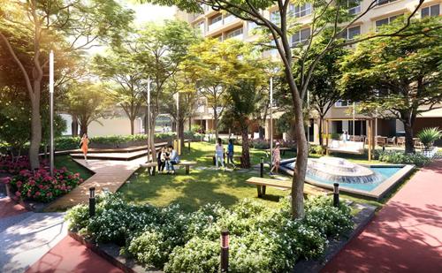  courtyard Landscape Garden and Tree Planting