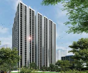 Project Image Project Image