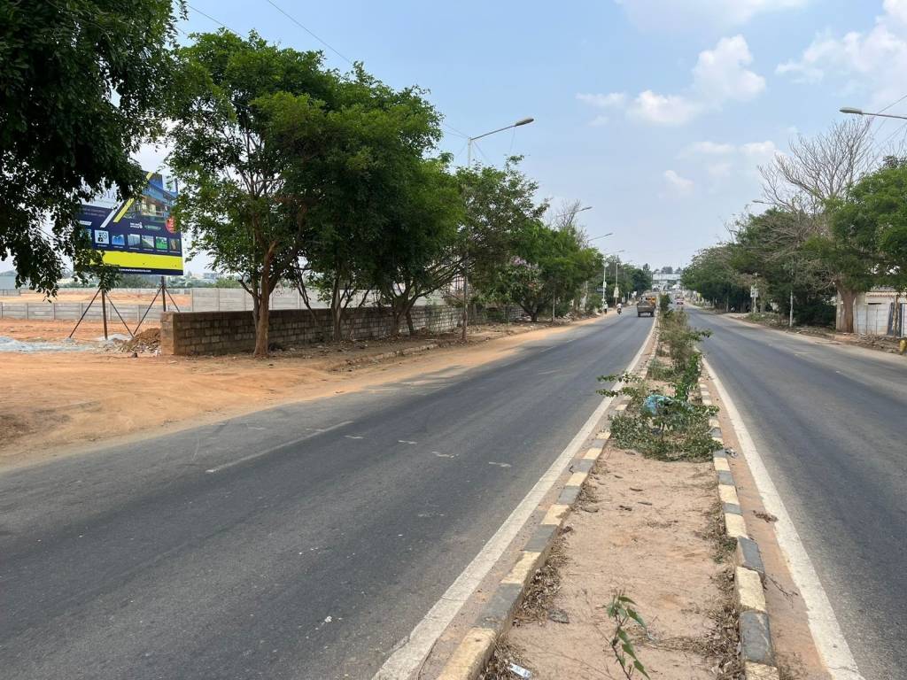  sai meridian Elevation