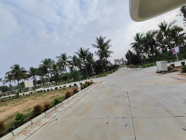  forest-in-my-backyard Internal Roads & Footpaths
