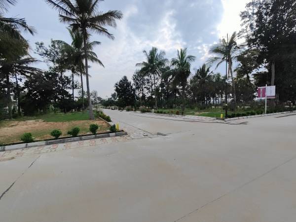 forest-in-my-backyard Internal Roads & Footpaths