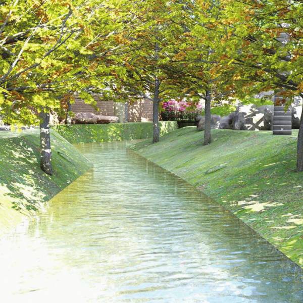  forest-in-my-backyard Natural Pond