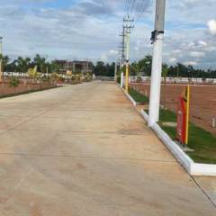 Project Image Project Image