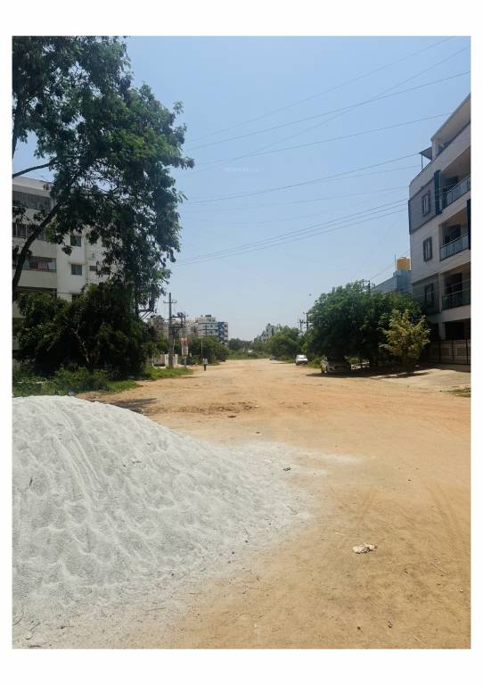  royal view Construction Status July 24