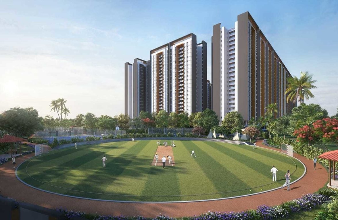  vivante phase 02 Cricket Pitch