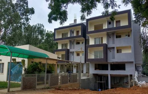 bouvardia Elevation Elevation