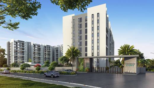 zaiden Elevation Elevation