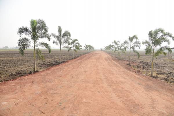  green-delight-county Internal Roads