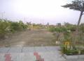 VBS Properties The Urban Forest