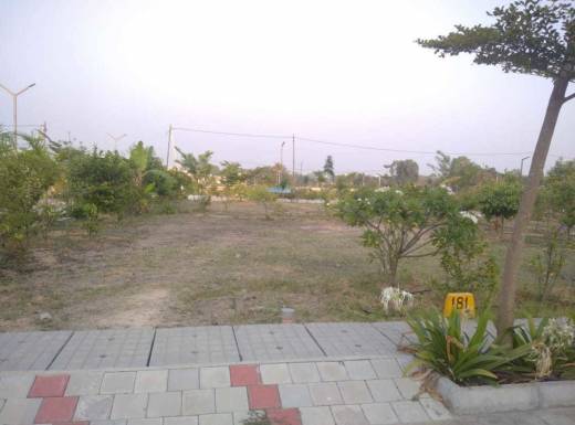 the-urban-forest Elevation Elevation