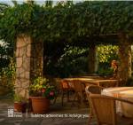  the-urban-forest Plot