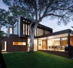  the-urban-forest Plot