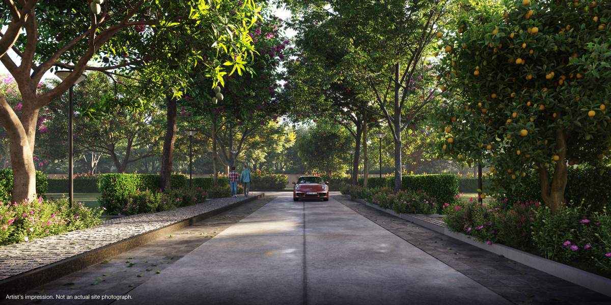  orchard estate Paved Compound