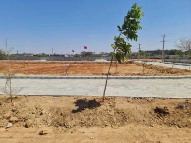 Elevation  asset-pri-ravis-dharitri Elevation