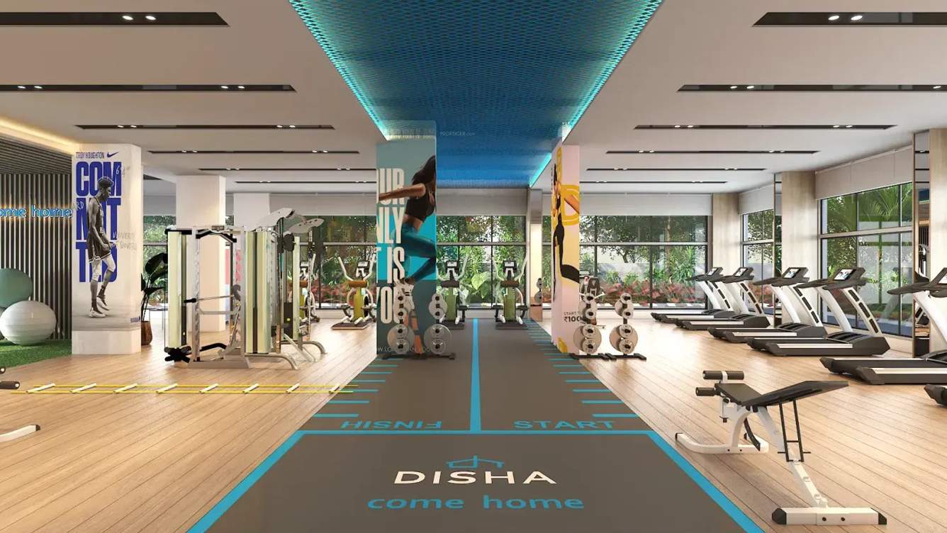  pursuit of sunshine Gymnasium