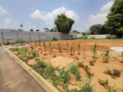 Plot earthsong-by-manyata-phase-4b Plot