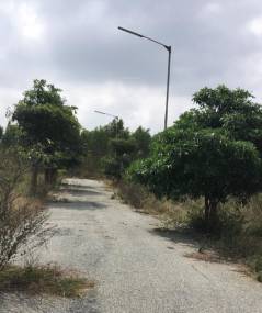  green-woods-gardens-extension-3c Elevation