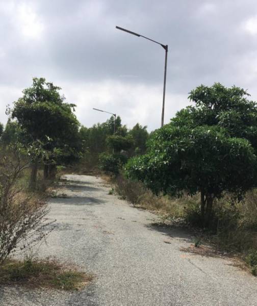 Elevation green-woods-gardens-extension-3c Elevation