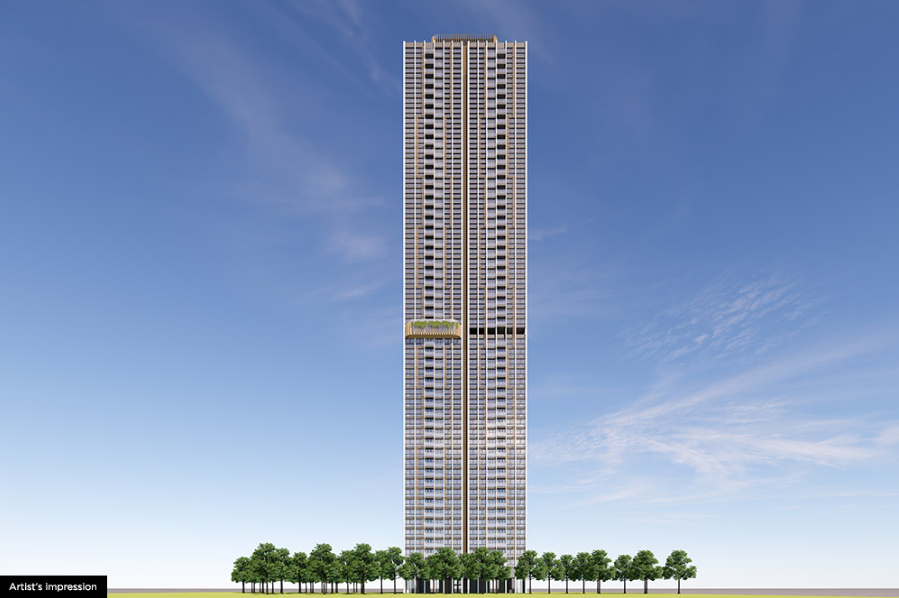  25 hour life Elevation