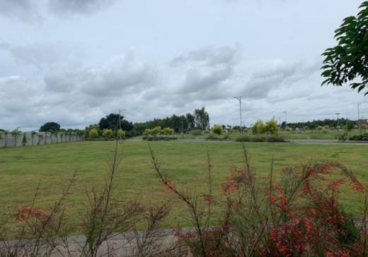 codename-rhythm-of-north Elevation Elevation