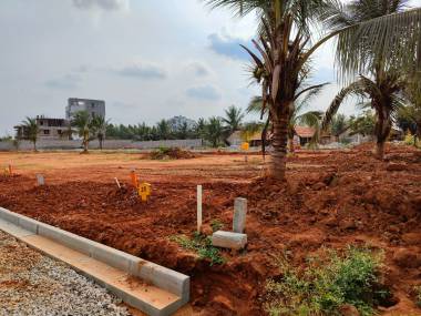  central-avenue-phase-ii Elevation