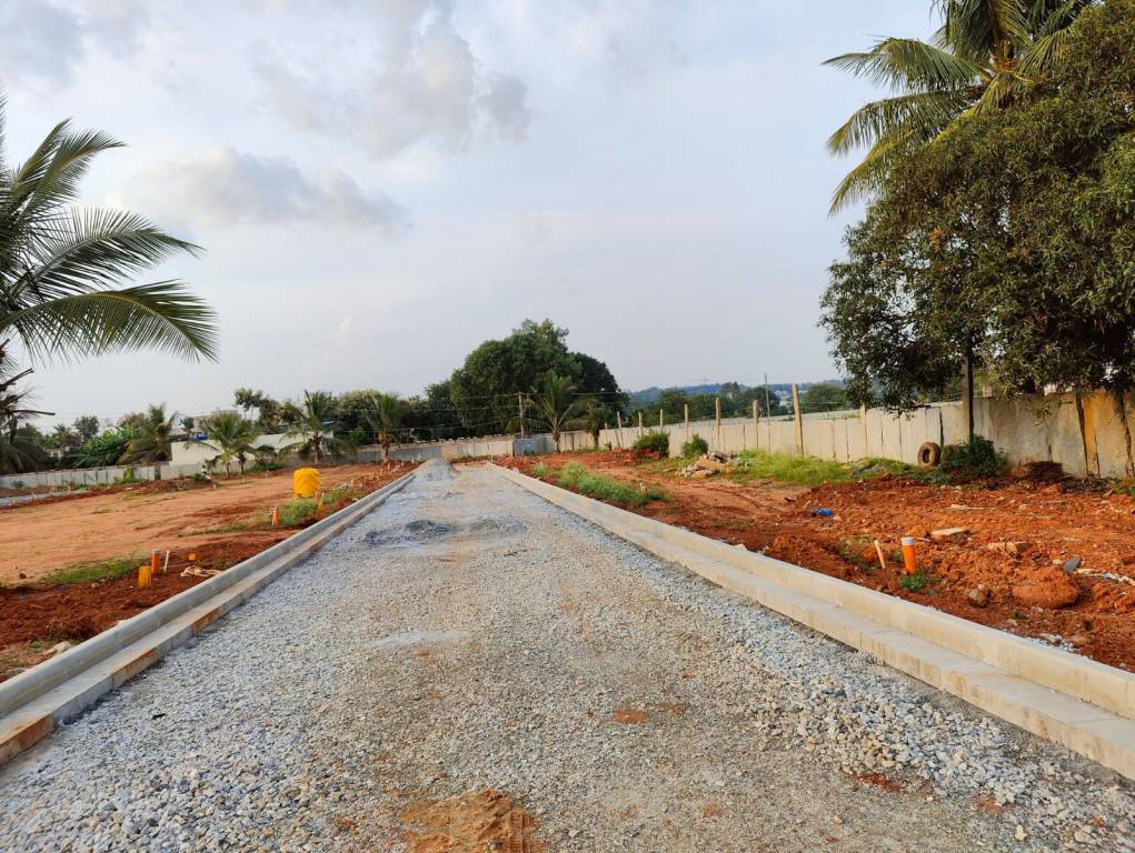  central avenue phase ii Internal Roads