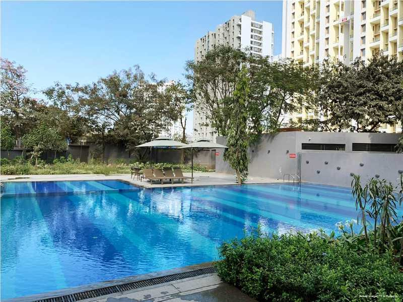  tinsel town 2 Swimming Pool