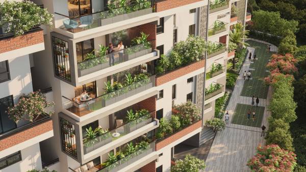  sunshine-destino Elevation