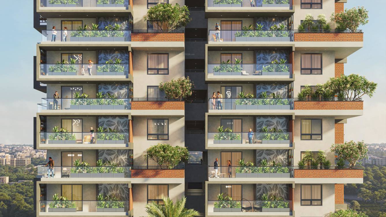  sunshine destino Elevation