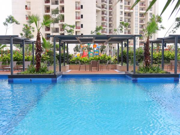  the-icon-79 Swimming Pool