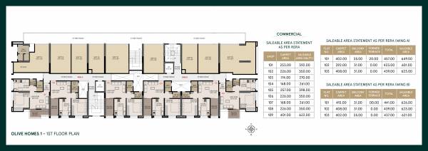  aakar-olive-homes-1 Olive Homes 1 Wing A Cluster Plan