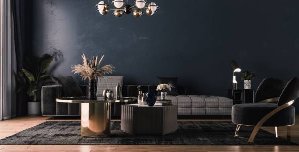  hans-vihar Living Area