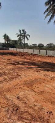 ecl-petals Elevation Elevation