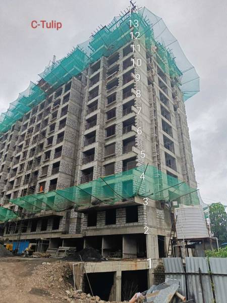 luxuria C Tulip Construction Status July-25