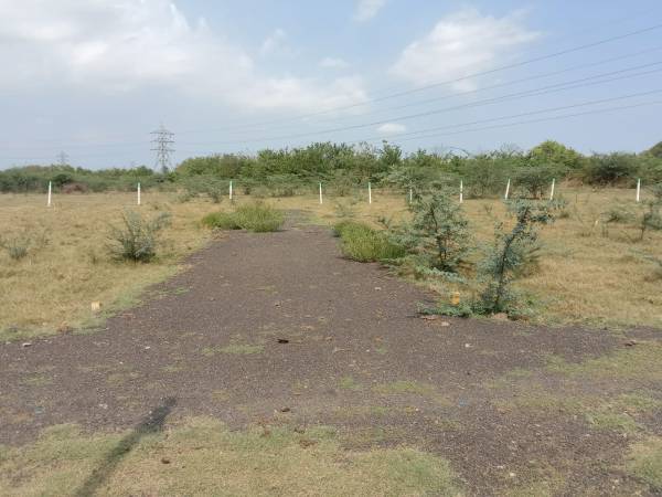  avenue Internal Roads