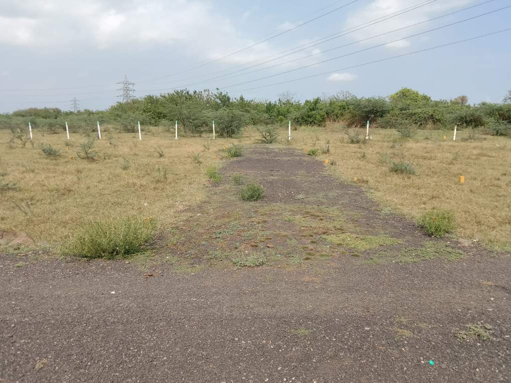  avenue Internal Roads