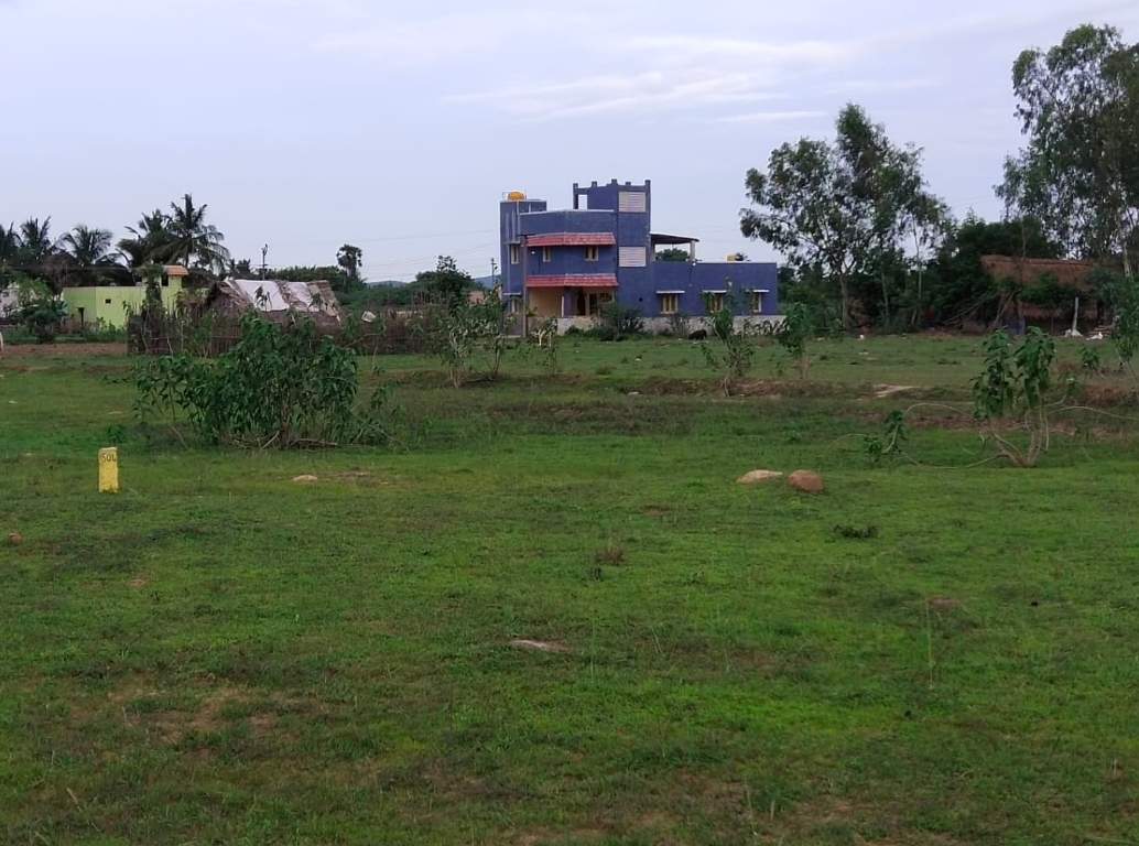  avenue Plot