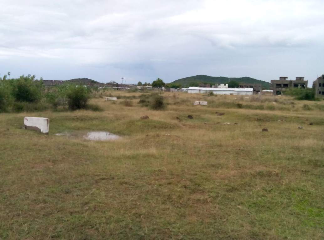  avenue Plot