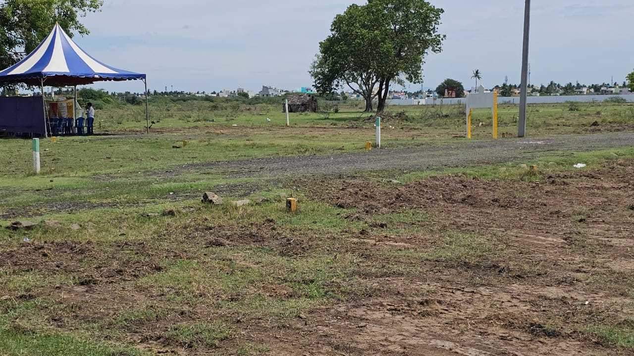  avenue Plot
