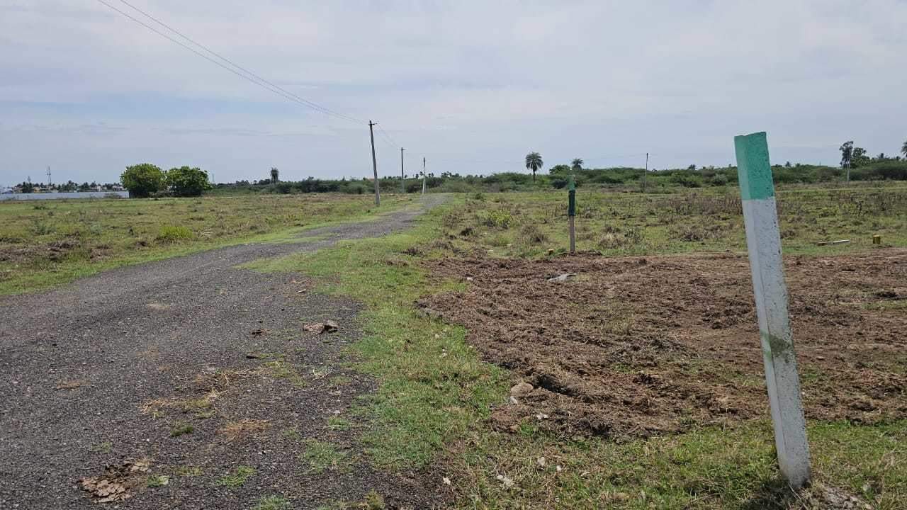  avenue Plot