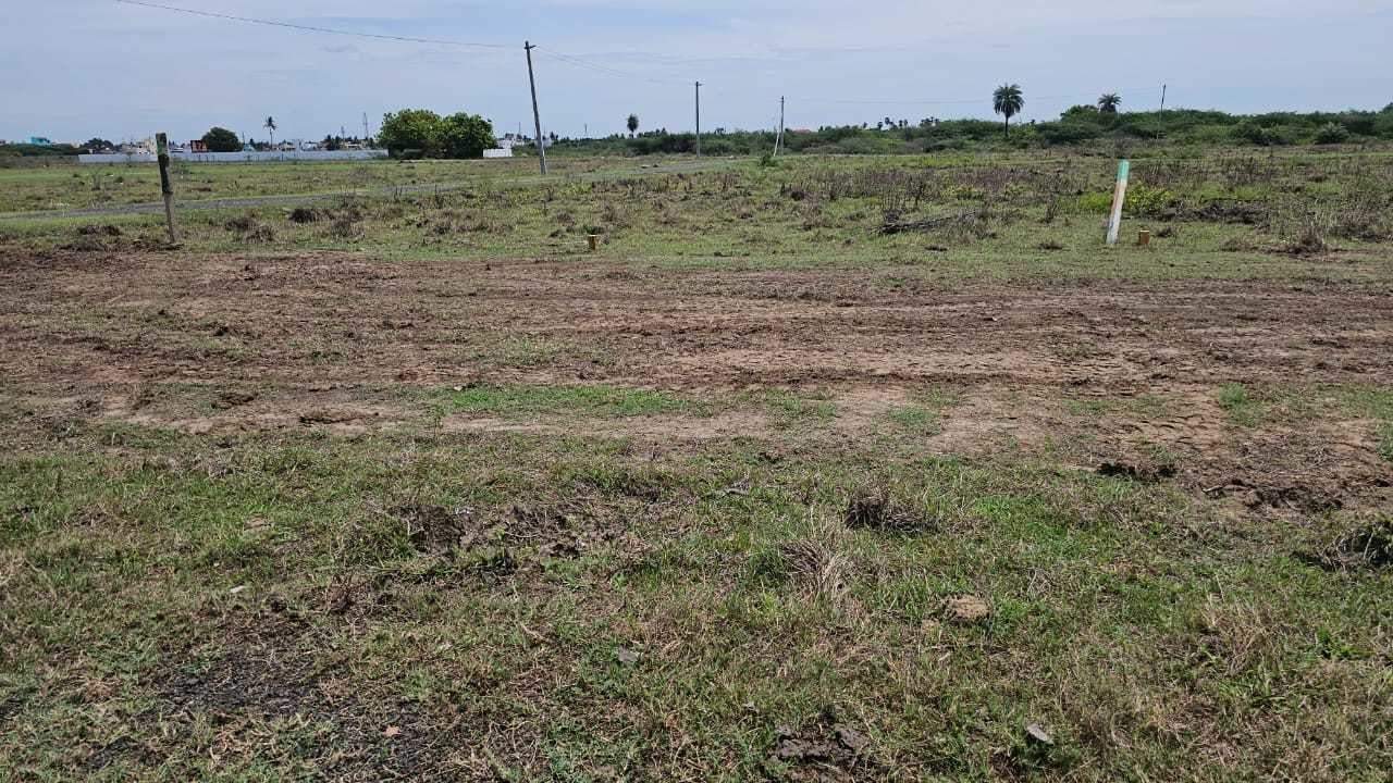  avenue Plot