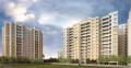 Ellora Group Nakshatra I Land Phase 6
