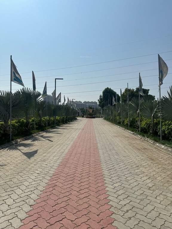  uplands Plot
