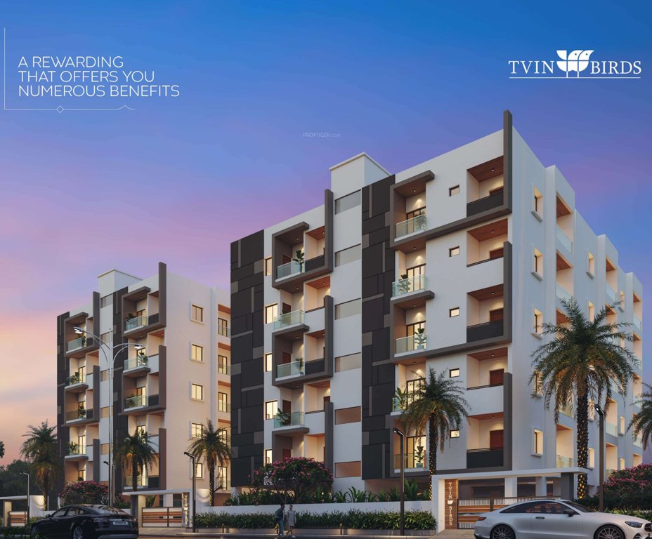  mph tvin birds Elevation